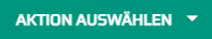 Aktion auswählen button.png