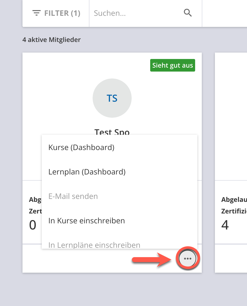 Ellipsenmenü.png